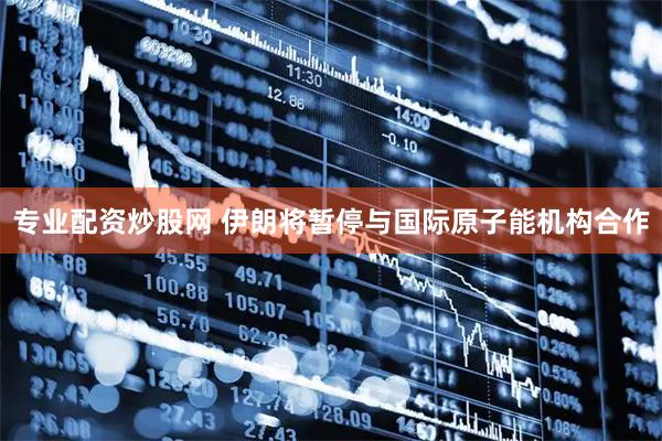 专业配资炒股网 伊朗将暂停与国际原子能机构合作