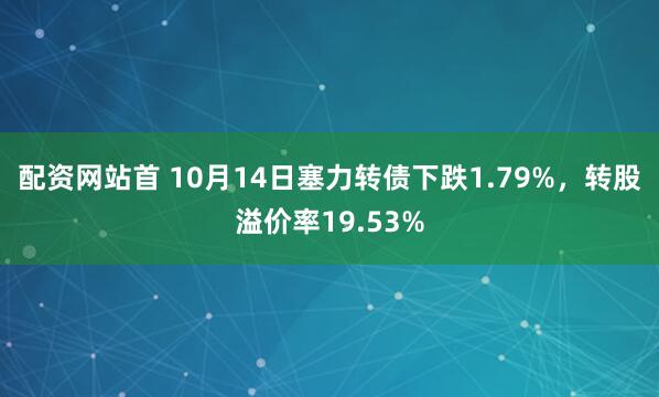 配资网站首 10月14日塞力转债下跌1.79%，转股溢价率19.53%