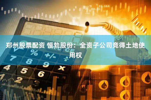 郑州股票配资 恒勃股份：全资子公司竞得土地使用权